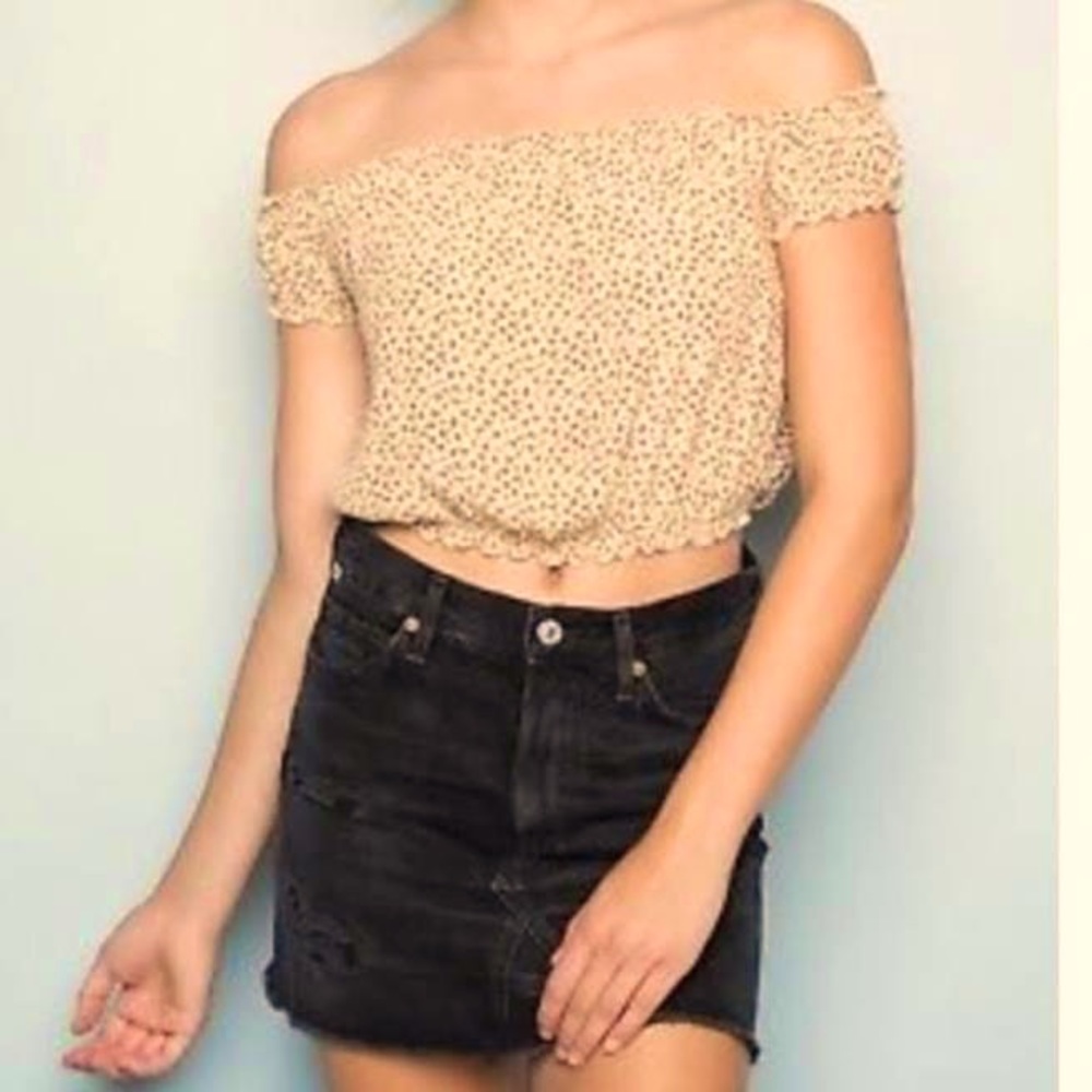 Brandy Melville Floral Crop Top Size 5/Small